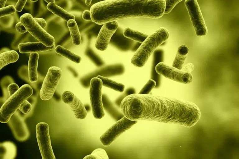 Mikrobiom