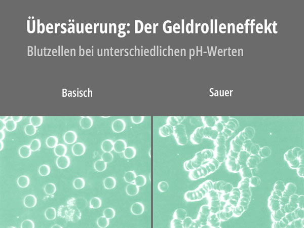 Geldrolleneffekt. Creative Commons. Verändert eigenens Werk.