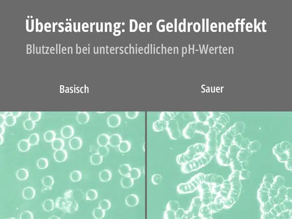 Geldrolleneffekt. Creative Commons. Verändert eigenens Werk.
