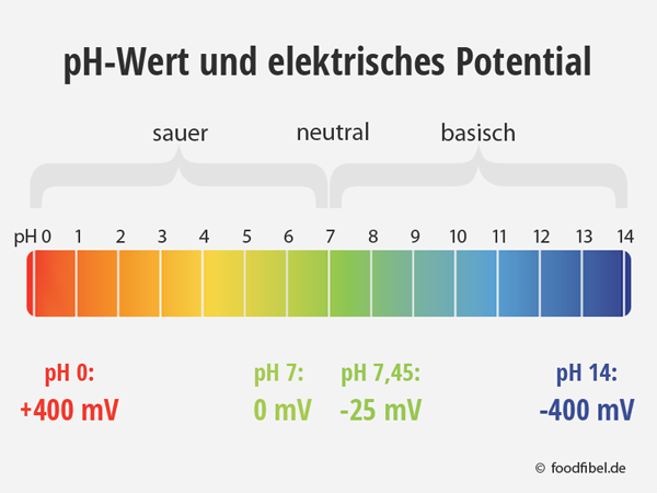 Infobild: Farbige Skala von pH Wert  bis 14. Dazu jeweils die elektrischen Potentiale von pH0, 7, und 14. © foodfibel.de .