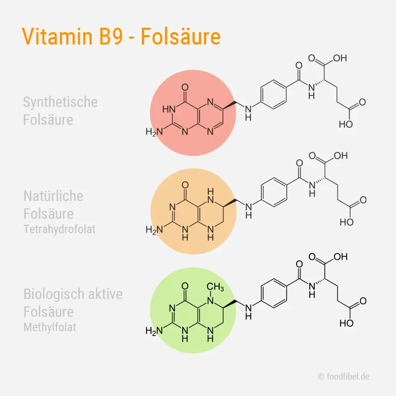 Abbildung: Folsäure, Folat, Methylfolat, © foodfibel.de