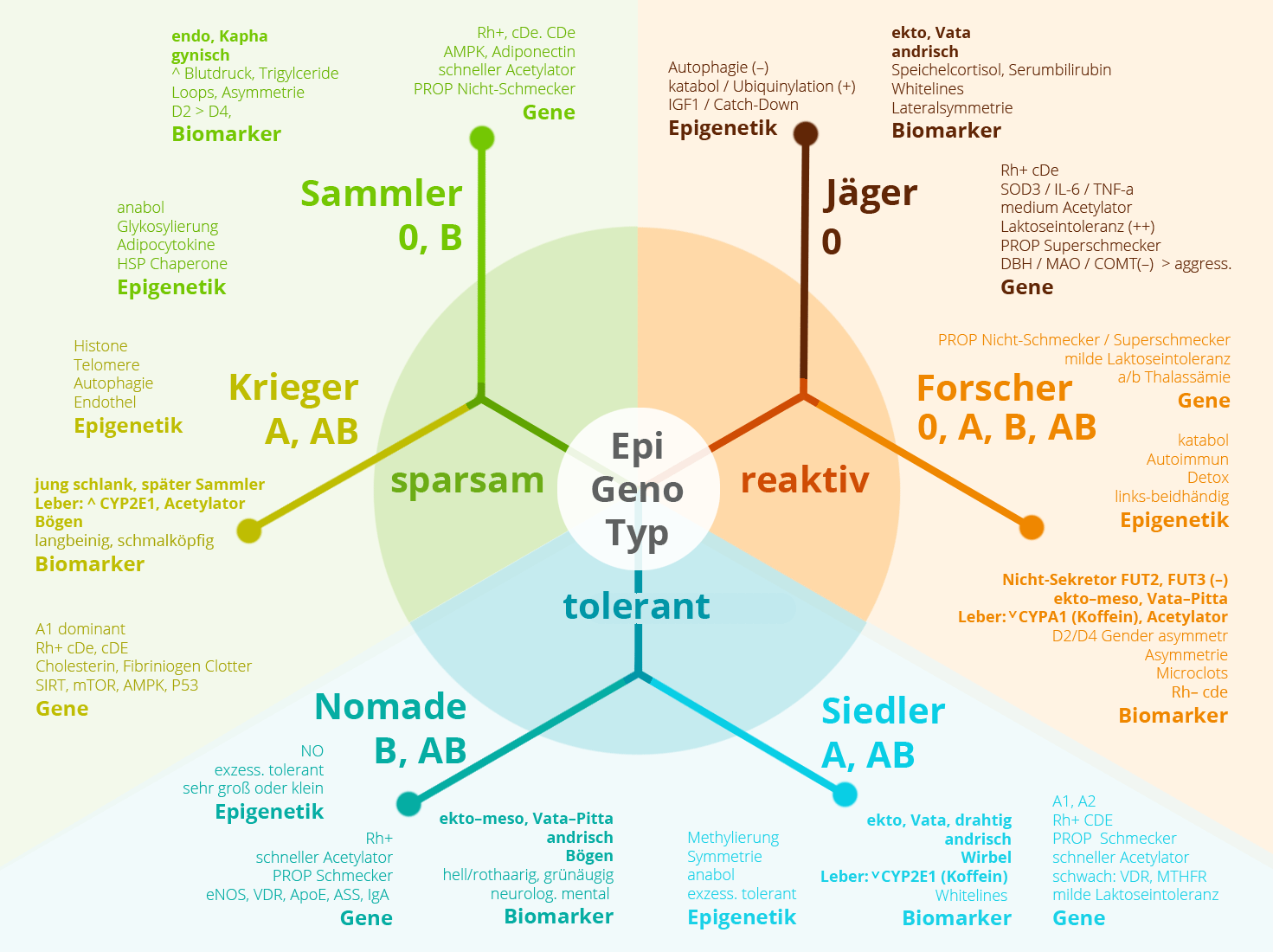 Schaubild: Die menschlichen Epigenotypen Jäger, Forscher, Siedler, Nomade, Krieger und Sammler. Mit den jeweiligen Faktoren: Biomarker, Epigenetik, Gene. © Foodfibel.de
