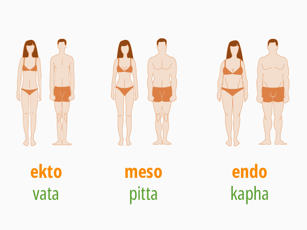 Drei Körpertypen im Vergleich: Ektomorph (Vata), Mesomorph (Pitta) und Endomorph (Kapha) - Körpersilhouetten weiblich und männlich. © foodfibel.de