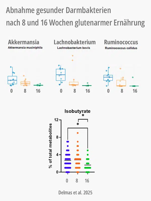 Grafik: Abmahme gesunder Darmbakterien nach 8 und 16 Wochen glutenarmer Ernährung. Dalmas et al. 2025.