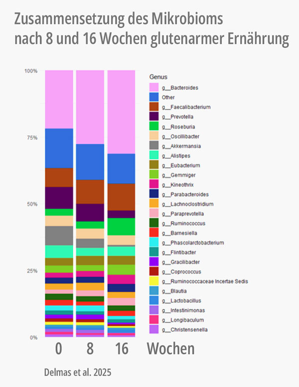Grafik: Zusammensetzung des Mikrobioms nach 8 und 16 Wochen glutenarmer Ernährung. Delmas et al. 2025.