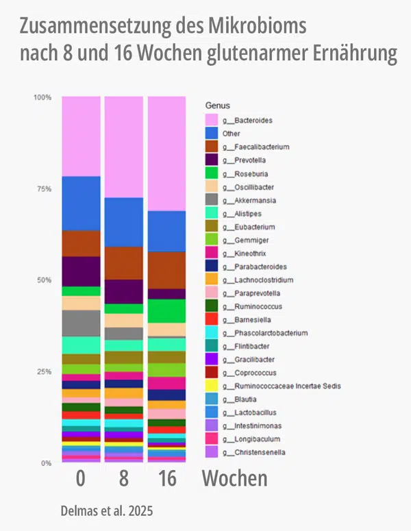 Grafik: Zusammensetzung des Mikrobioms nach 8 und 16 Wochen glutenarmer Ernährung. Delmas et al. 2025.