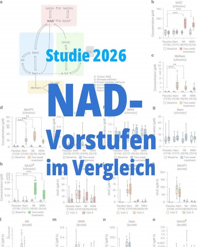 Teaser: Studie 2026 - NAD-Vorstufen im direkten Vergleich