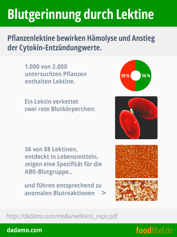 Blutgerinnung durch Lektine. © foodfibel.de
