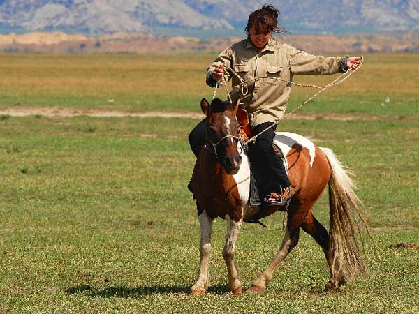Mongolisches Pferd und Reiterin. © 123rf.com #35726871.