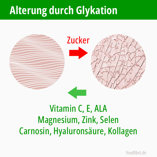 Schemabild: Glykation von Kollagen-Bindegewebe von elastisch zu hart und brüchig. © foodfibel.de .