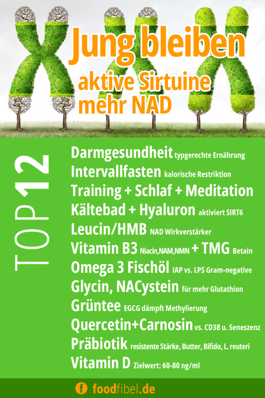Tabelle TOP12: Jung bleiben, aktive Sirtuine, mehr NAD, die Checkliste. © foodfibel.de.