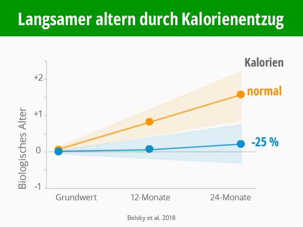 Infografik: Langsamer altern durch Fasten und Kalorienentzug. Belsky et al 2018. © foodfibel.de