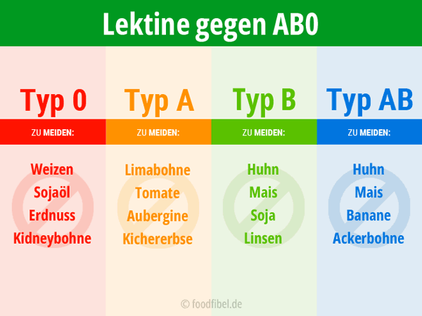 Schaubild: Lektine gegen AB0. Welche Lebensmittel solltest du meiden? © Foodfibel.de