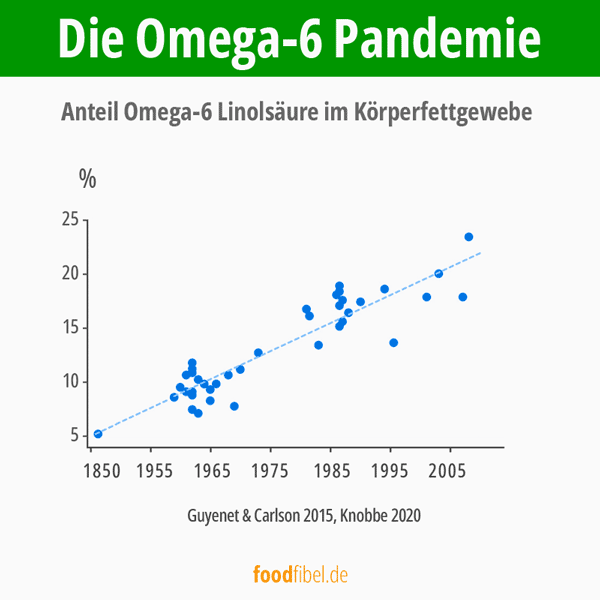 Omega-6 Linolsäure in Körpergewebe von 1850 bis 2005. © foodfibel.de