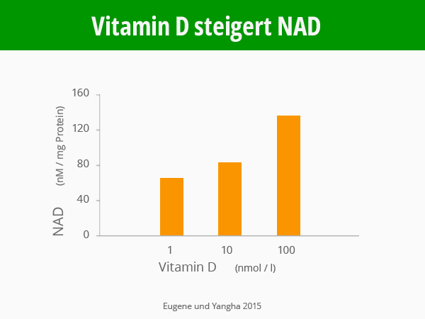 Infografik: Vitamin D steigert NAD. Eugene und Yangha 2015. © Foodfibel.de