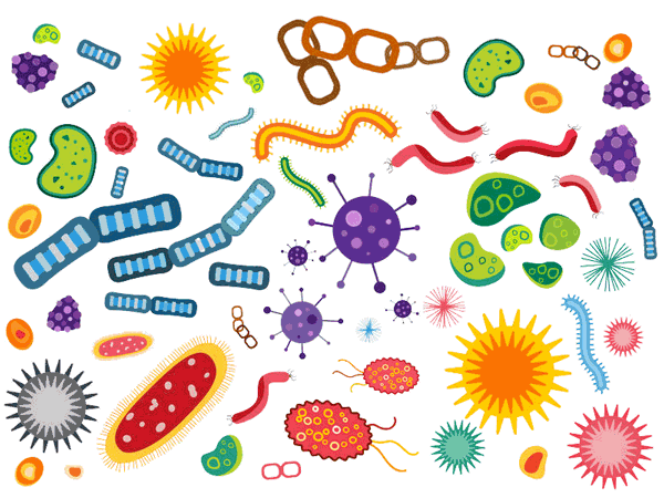 Schaubild eines gesunden und bunten Mikrobioms mit Bakterien, Viren und Kleinleben. 