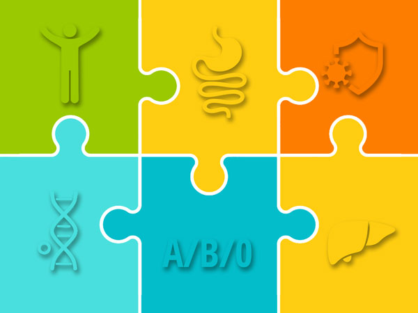 Schaubild: 6 Puzzlestücke stehen für die biologischen Eigenschaften, die deinen Typ ausmachen. (c) foodfibel.de