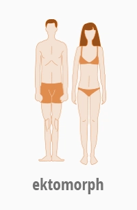 Grafik: ektomorpher Körpertyp